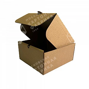 Гофрокороб самосборный 200*200*100 мм Т-22B FEFCO 0470